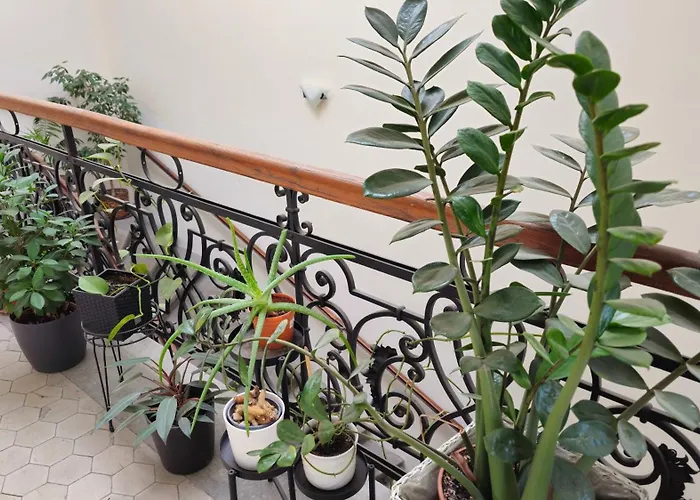 Luxury Vincents Košice