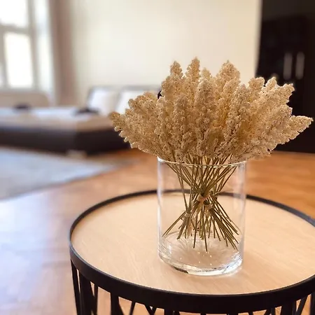 Apartmán Luxury Vincents Kosice
