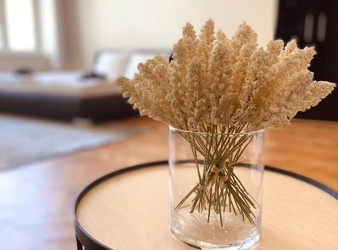 דירה Luxury Vincents קושיצה